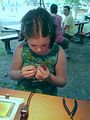 IMG_20150614_163131